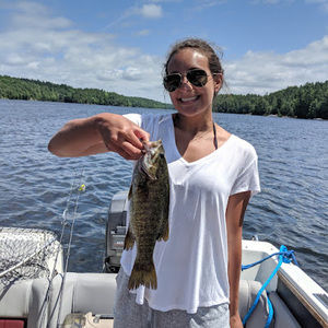 Meet your Posher, D.nass